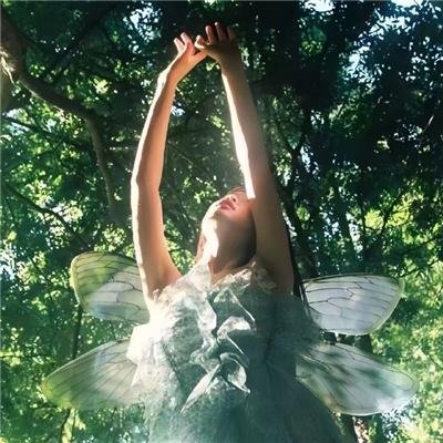 很久没有敬我了你